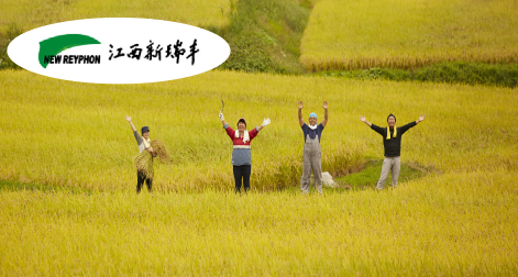 新瑞豐-百年基業(yè)，信息為本，以農(nóng)為先